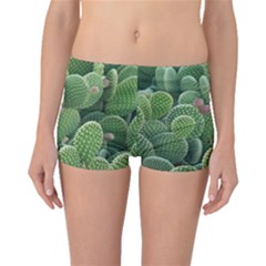 Green Cactus Boyleg Bikini Bottoms by Sparkle