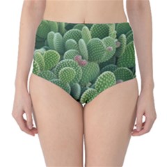 Green Cactus Classic High-waist Bikini Bottoms by Sparkle