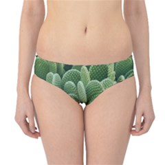 Green Cactus Hipster Bikini Bottoms by Sparkle