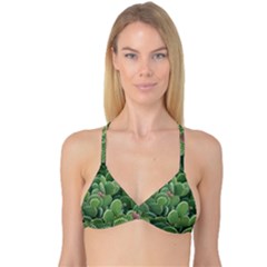 Green Cactus Reversible Tri Bikini Top by Sparkle