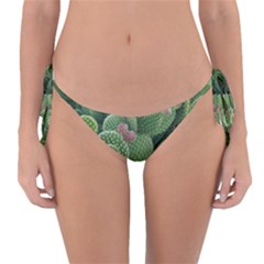 Green Cactus Reversible Bikini Bottom by Sparkle