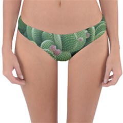 Green Cactus Reversible Hipster Bikini Bottoms