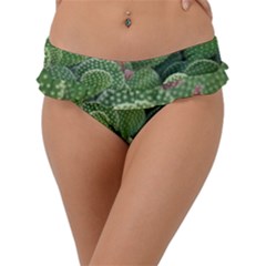 Green Cactus Frill Bikini Bottom by Sparkle