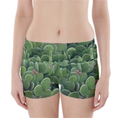 Green Cactus Boyleg Bikini Wrap Bottoms by Sparkle