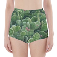 Green Cactus High-waisted Bikini Bottoms by Sparkle