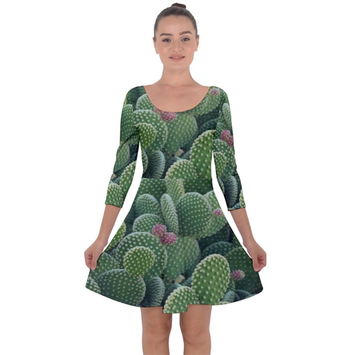 Green Cactus Quarter Sleeve Skater Dress