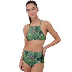 Green Cactus High Waist Tankini Set by Sparkle