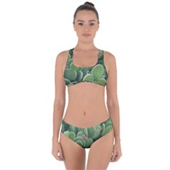 Green Cactus Criss Cross Bikini Set by Sparkle