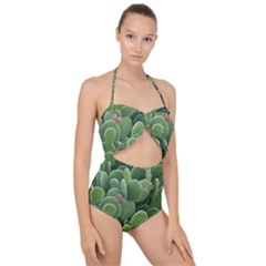 Green Cactus Scallop Top Cut Out Swimsuit by Sparkle