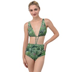 Green Cactus Tied Up Two Piece Swimsuit by Sparkle