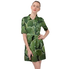 Green Cactus Belted Shirt Dress by Sparkle