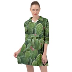 Green Cactus Mini Skater Shirt Dress by Sparkle