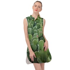 Green Cactus Sleeveless Shirt Dress by Sparkle