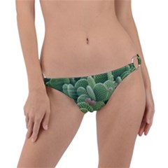 Green Cactus Ring Detail Bikini Bottom by Sparkle