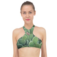 Green Cactus High Neck Bikini Top by Sparkle