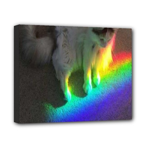 Rainbowcat Canvas 10  X 8  (stretched) by Sparkle