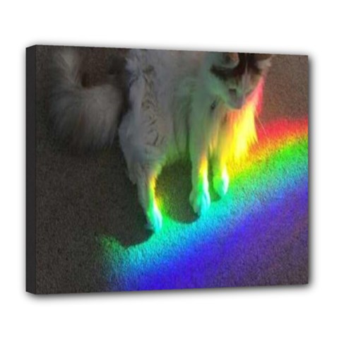 Rainbowcat Deluxe Canvas 24  X 20  (stretched) by Sparkle