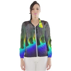 Rainbowcat Women s Windbreaker by Sparkle