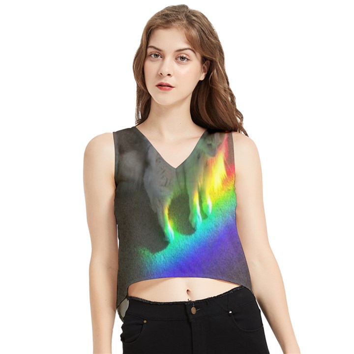 Rainbowcat V-Neck Cropped Tank Top