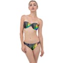 Rainbowcat Classic Bandeau Bikini Set View1