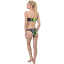 Rainbowcat Classic Bandeau Bikini Set View2