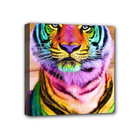 Rainbowtiger Mini Canvas 4  X 4  (stretched) by Sparkle