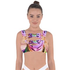 Rainbowtiger Bandaged Up Bikini Top by Sparkle