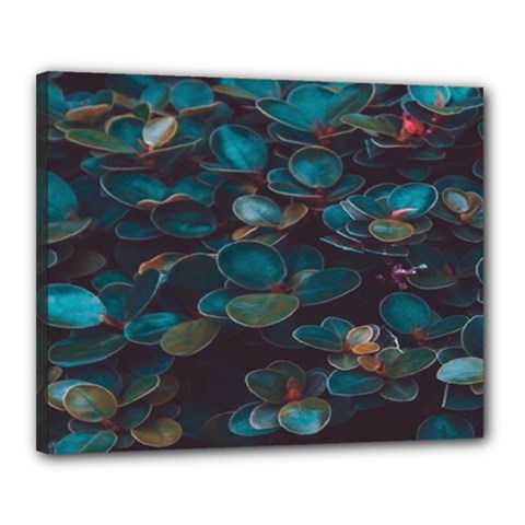 Realeafs Pattern Canvas 20  X 16  (stretched) by Sparkle