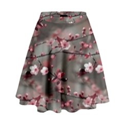 Realflowers High Waist Skirt by Sparkle