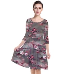 Realflowers Quarter Sleeve Waist Band Dress by Sparkle