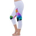 Rainbowfox Capri Winter Leggings  View2