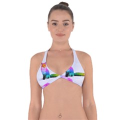 Rainbowfox Halter Neck Bikini Top by Sparkle