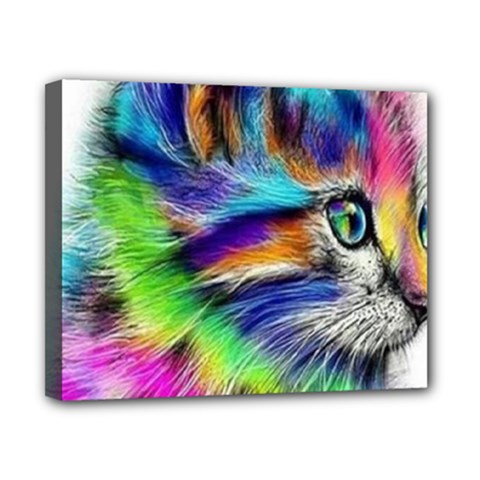 Rainbowcat Canvas 10  X 8  (stretched) by Sparkle