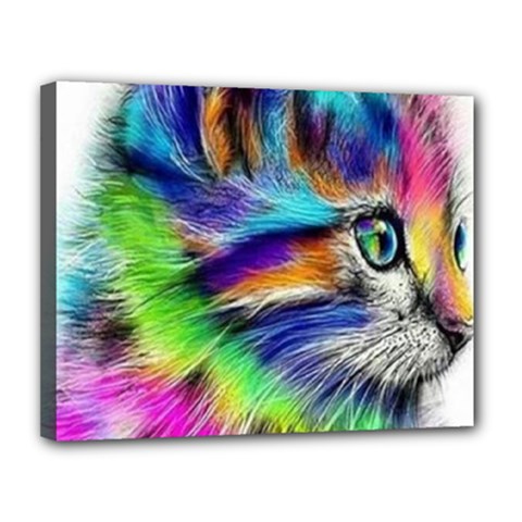 Rainbowcat Canvas 14  X 11  (stretched) by Sparkle