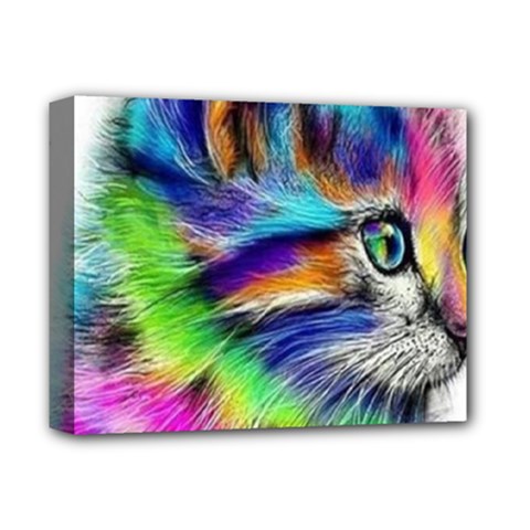 Rainbowcat Deluxe Canvas 14  X 11  (stretched) by Sparkle