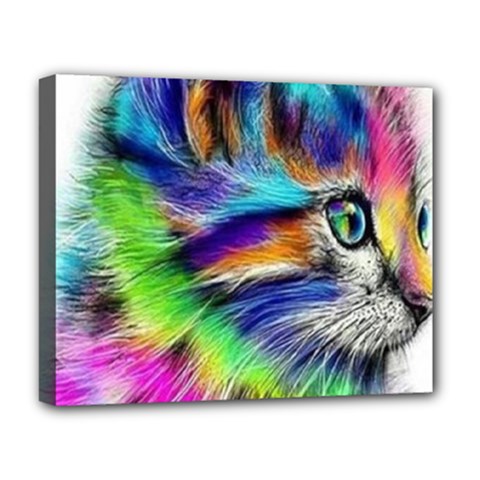 Rainbowcat Deluxe Canvas 20  X 16  (stretched) by Sparkle