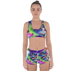 Rainbowcat Racerback Boyleg Bikini Set by Sparkle