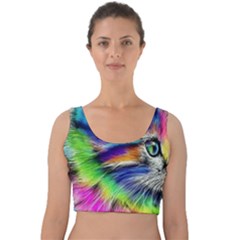 Rainbowcat Velvet Crop Top by Sparkle