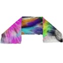 Rainbowcat Long Sheer Chiffon Scarf  View2