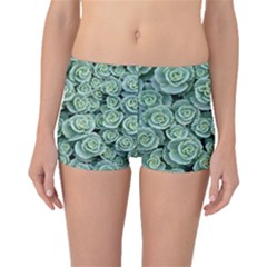 Realflowers Boyleg Bikini Bottoms by Sparkle