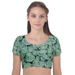 Realflowers Velvet Short Sleeve Crop Top  by Sparkle