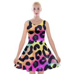 Animal Print Velvet Skater Dress by Sparkle