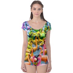 Rainbow Flamingos Boyleg Leotard  by Sparkle