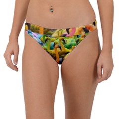 Rainbow Flamingos Band Bikini Bottom by Sparkle