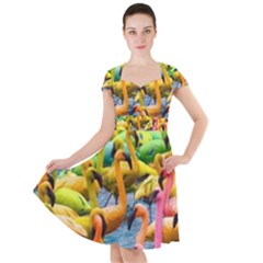 Rainbow Flamingos Cap Sleeve Midi Dress