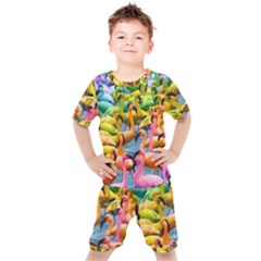 Rainbow Flamingos Kids  Tee And Shorts Set by Sparkle