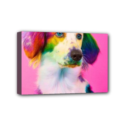 Rainbowdog Mini Canvas 6  X 4  (stretched) by Sparkle