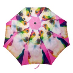 Rainbowdog Folding Umbrellas by Sparkle