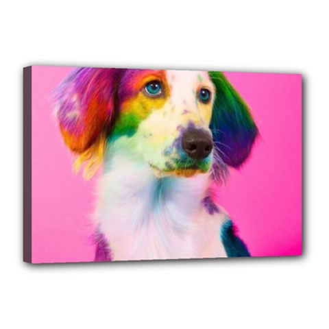 Rainbowdog Canvas 18  X 12  (stretched) by Sparkle