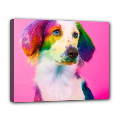 Rainbowdog Deluxe Canvas 20  X 16  (stretched) by Sparkle